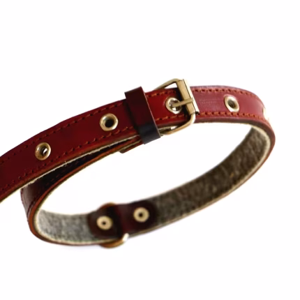 قلاده گردنی چرم سگ و گربه کوچک 2 سانت