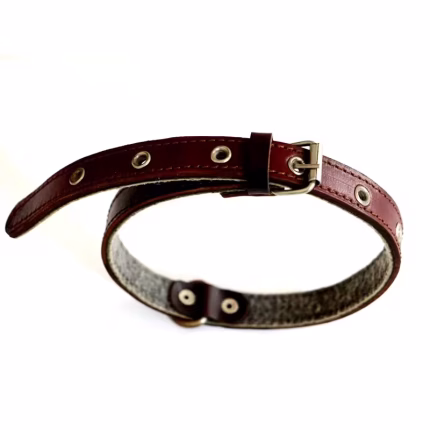 قلاده گردنی چرم سگ و گربه کوچک 2 سانت